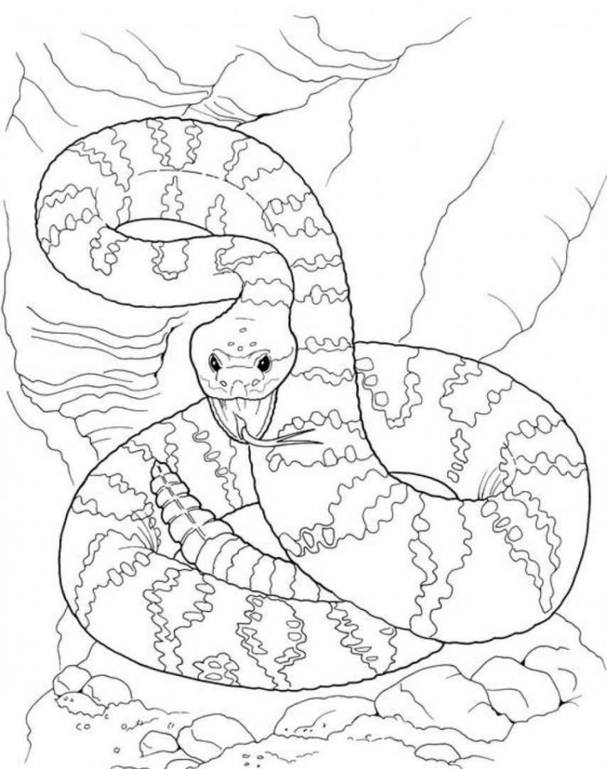 854x1082 Gun Coloring Pages Newyork Rpcom Dragon Ball Af Coloring Pages