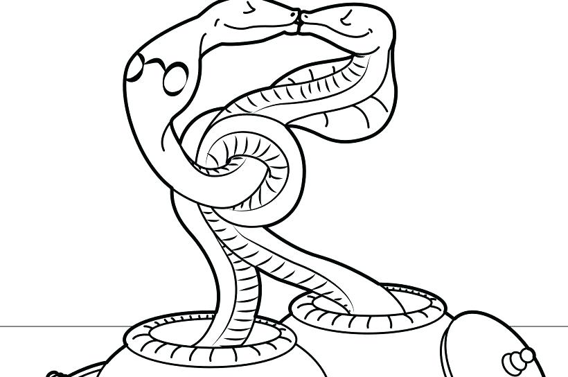 820x544 Reptiles Coloring Pages Trend Ball Python Coloring Pages Best