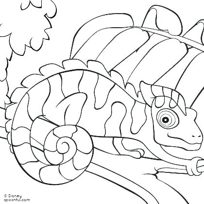 420x420 Ball Python Coloring Pages Ball Python Coloring Pages Ball Python