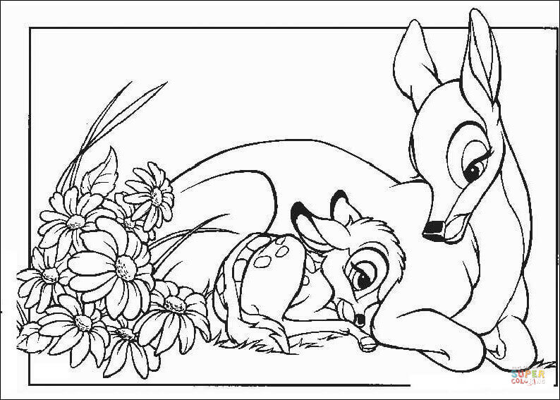 794x567 Bambi With His Mom From Bambi Coloring Page