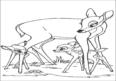 476x333 Faline Bambi 2 Coloring Pages Page Image Clipart Images