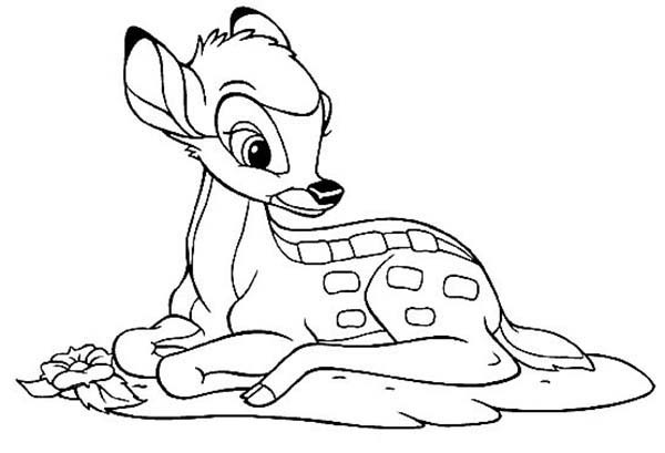600x409 Ingenious Design Ideas Bambi Coloring Pages Disney To Print Games