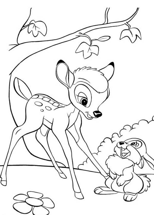 600x840 Thumper And Bambi In Disney Coloring Pages For Kids Bleupnr