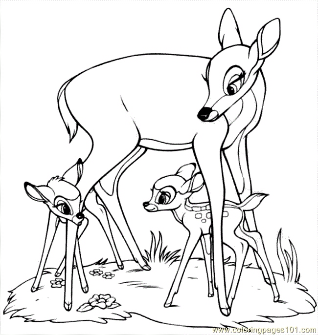 650x686 Bambi Coloring Pages Awesome 2 Free Disney Bambi And Butterfly