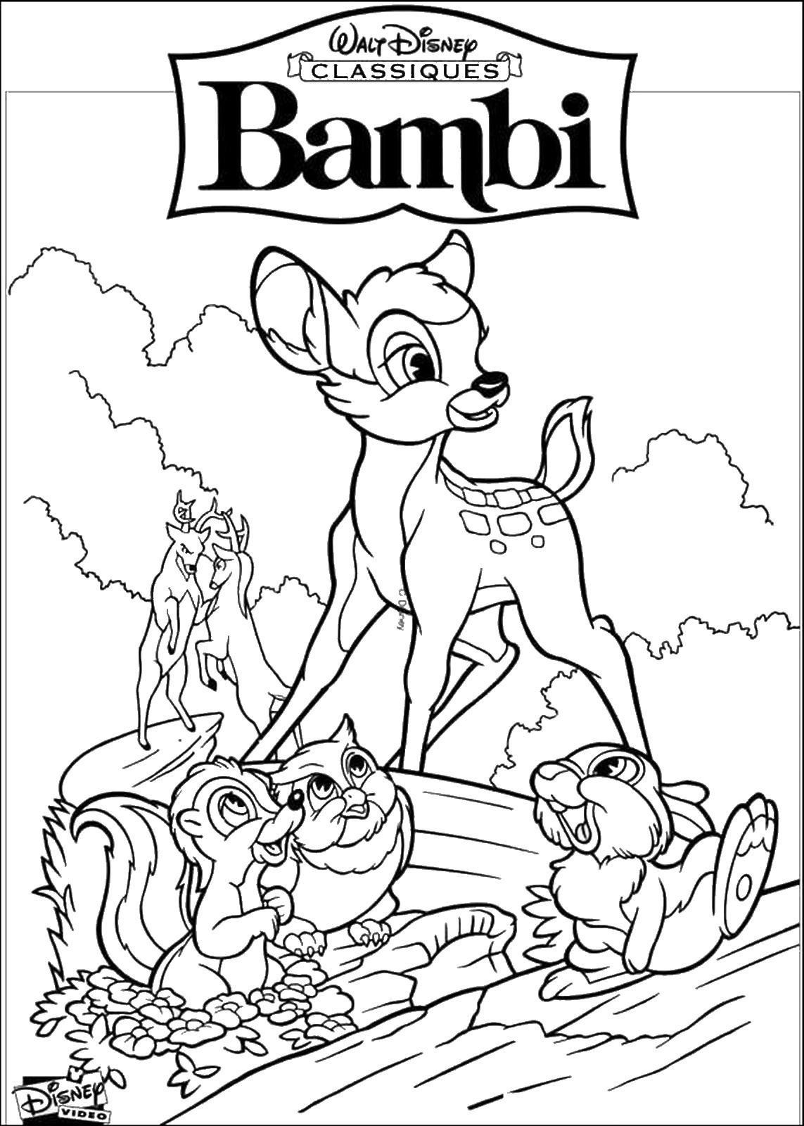 1143x1600 Bambi Cl 06.jpg