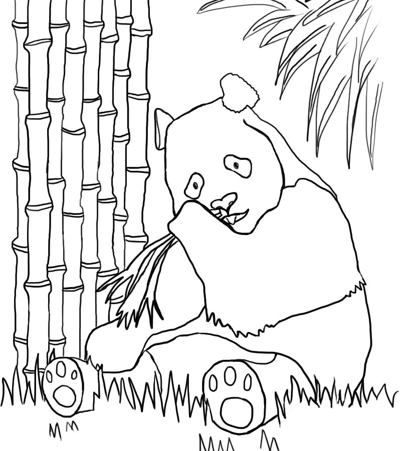 798x900 Csa15l7 Baby Pandaar Coloring Pages Printable Cartoon Free