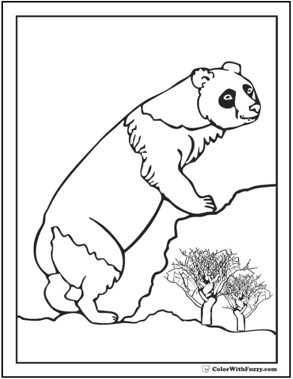 590x762 Panda Bears Coloring Pages Unique Panda Coloring Pages Bamboo