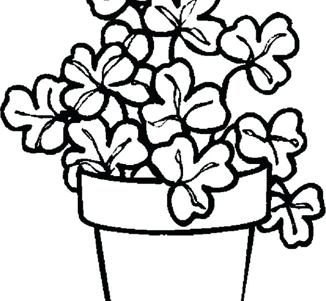 650x600 Plant Pictures To Color Plants Coloring Pages Printable Many Plant