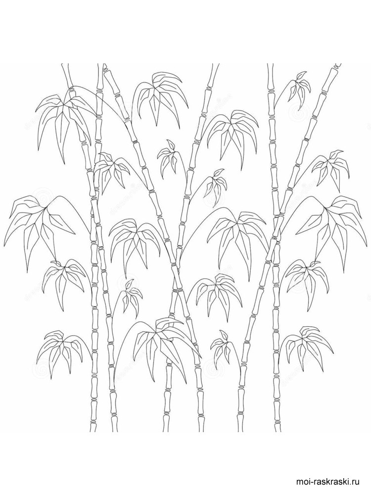 750x1000 Bamboo Coloring Pages For Kids. Free Printable Bamboo Tree