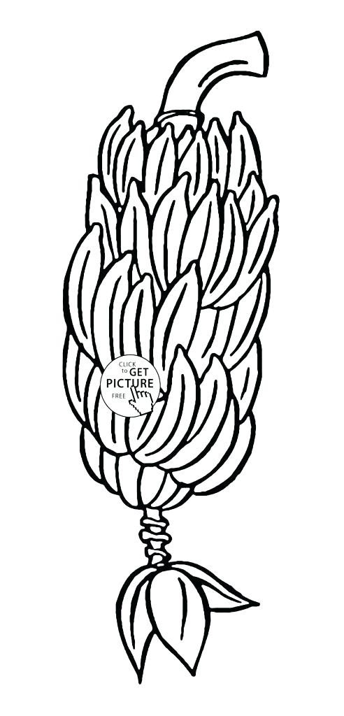 Banana Split Coloring Pages