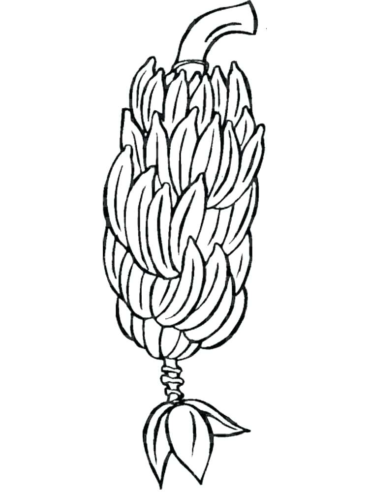 750x1000 Banana Coloring Page Banana Fruits Coloring Pages Banana Split