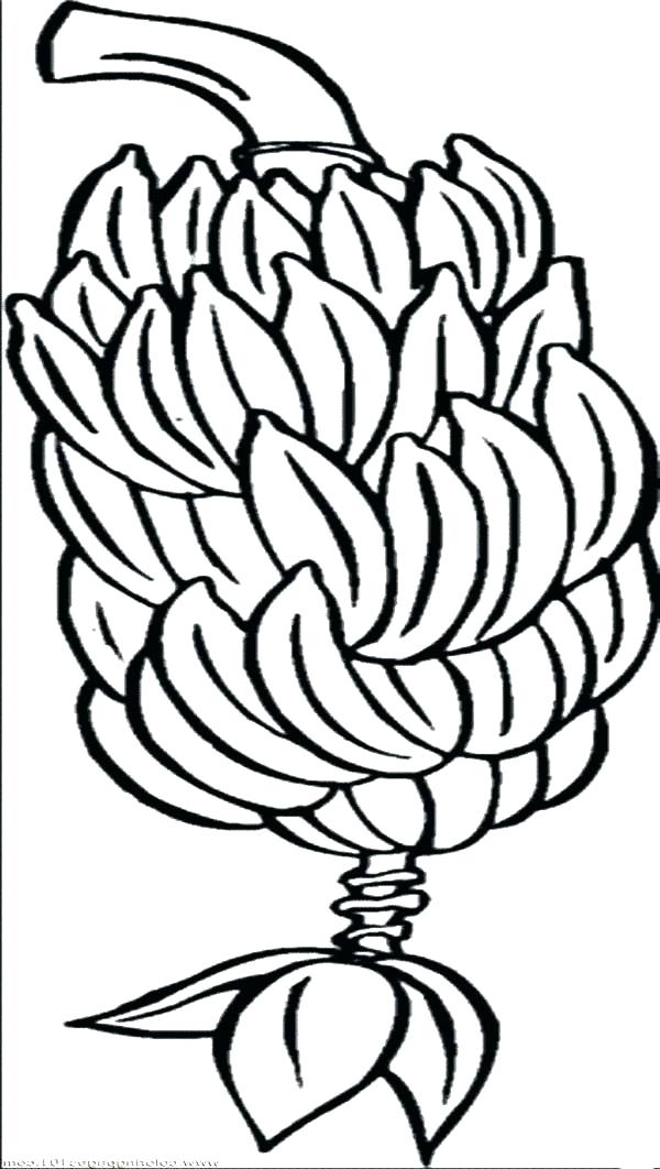 600x1062 Banana Coloring Page Banana Split Coloring Page Printable Banana