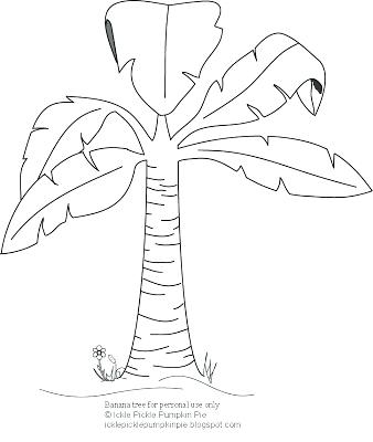 338x400 Banana Tree Coloring Page Banana 9 Banana Tree Colouring Pages