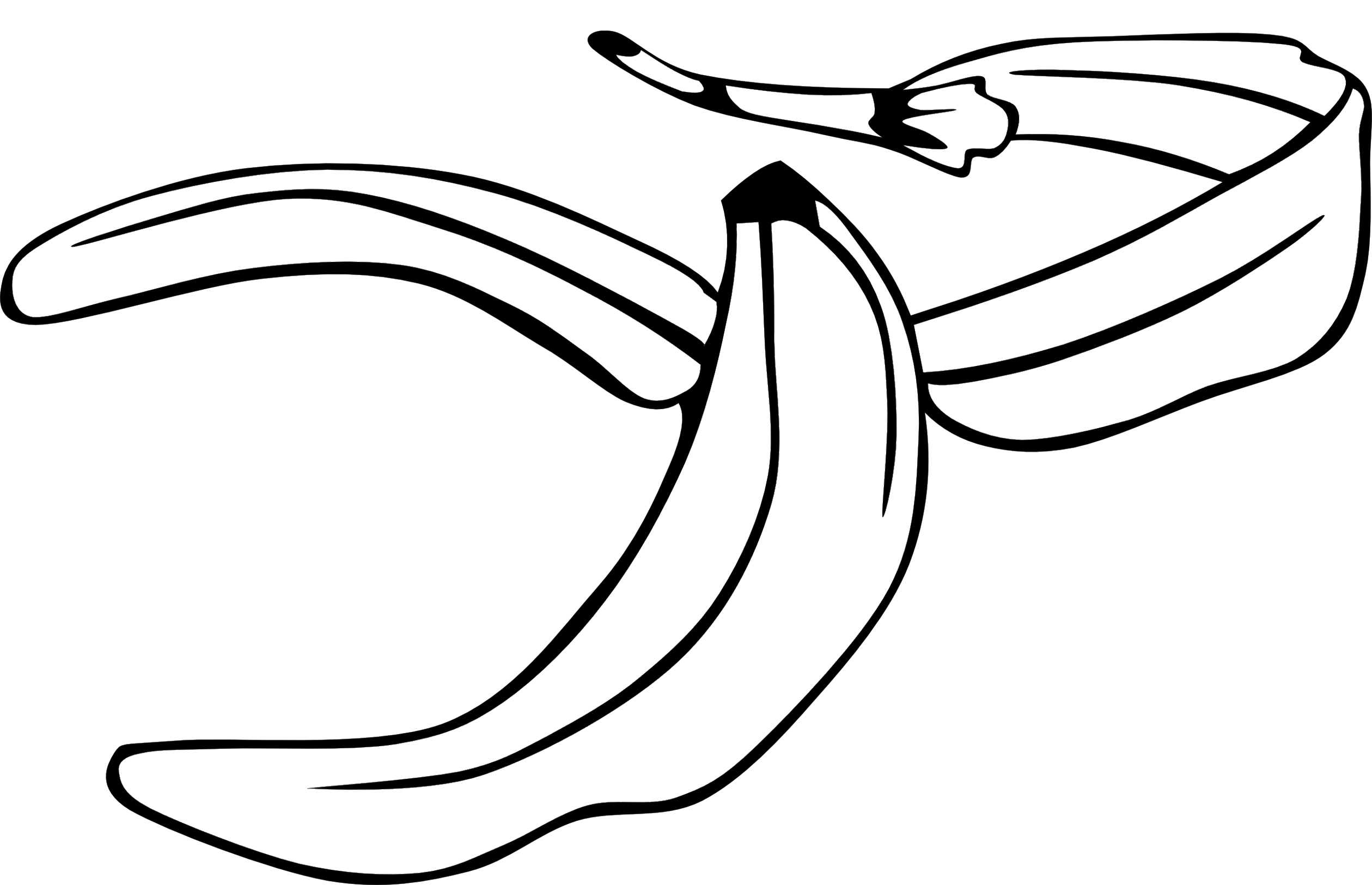 2519x1625 Banana Tree Coloring Pages Collection Coloring For Kids 2018