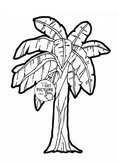 236x322 Three Apples Fruit Coloring Page For Kids, Fruits Coloring Pages