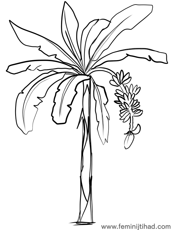 600x800 Banana Coloring Pages To Print Coloring Pages For Kids