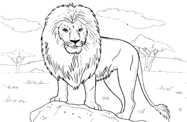 600x393 Rock Coloring Pages Lion Standing On A Rock Coloring Page Kiss