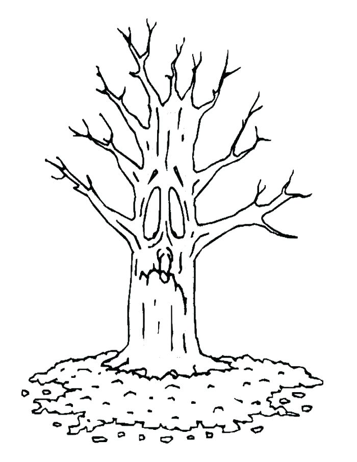 700x906 Bare Tree Branches Coloring Page Bare Tree Without Leaves Coloring