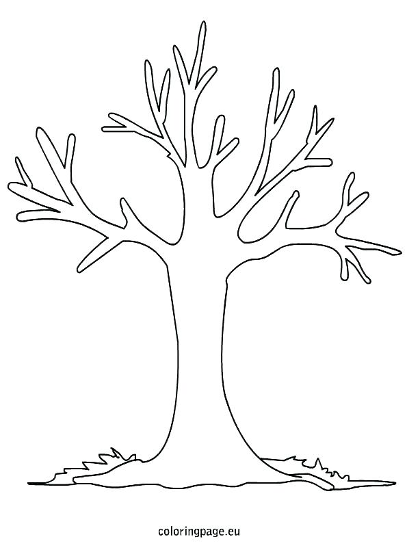 595x804 Bare Tree Coloring Page Tree Coloring Book Coloring Pages Of Trees
