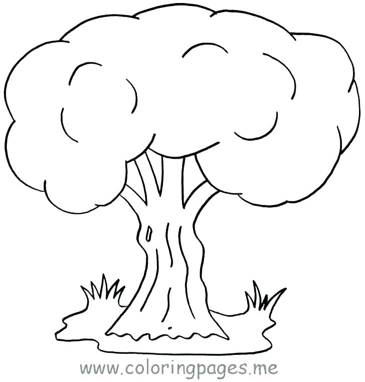 728x761 Bare Tree Coloring Page Tree Coloring Pages Coloring Book Trees