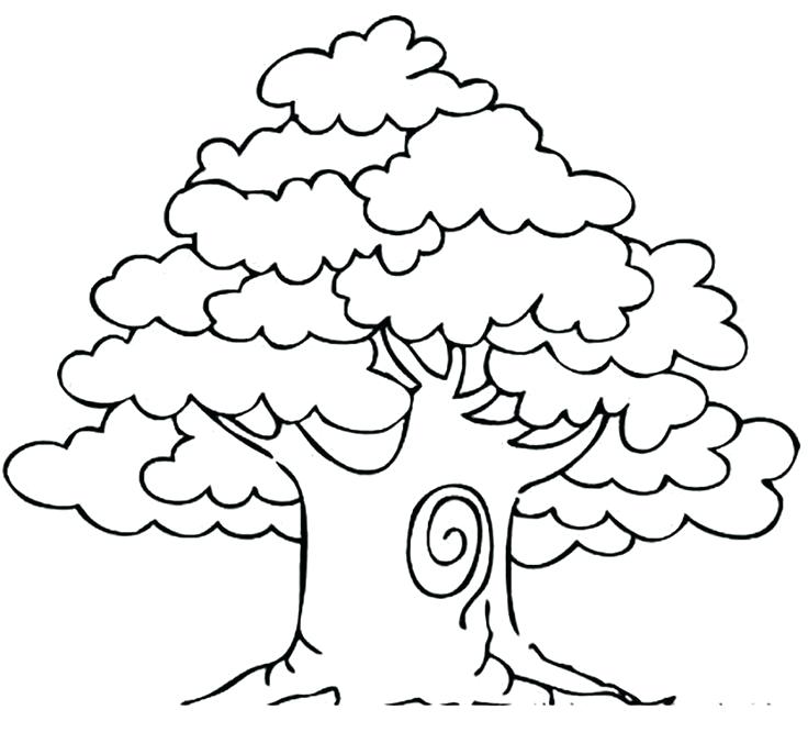 736x666 Christmas Tree Coloring Pages To Print Free Banyan Book 2