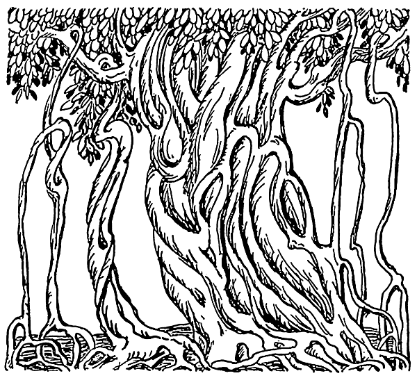 600x544 Gallery For Gt Banyan Tree Clipart Tattoo Ideas