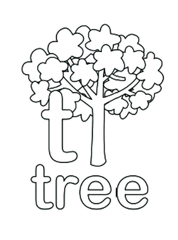 600x807 Tree Coloring Sheet Ashleyoneillco Tree Coloring Sheet Idea