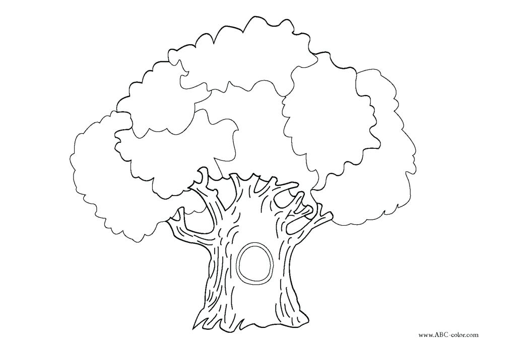 1024x706 Banyan Tree Drawing Banyan Tree Banyan Tree Drawing Image