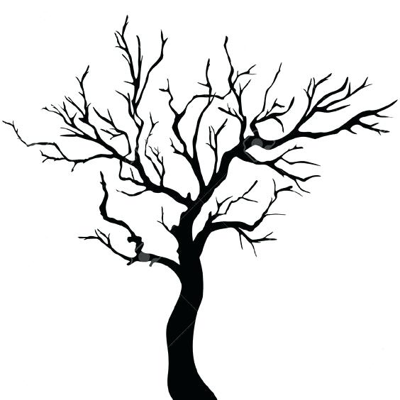 564x564 Banyan Tree Drawing Banyan Tree Drawing Tree Outline Drawing Tree