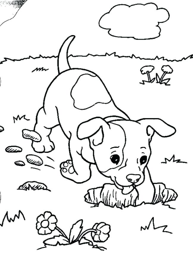 649x854 The Joker Coloring Pages Mariposa Barbie Coloring Pages Print