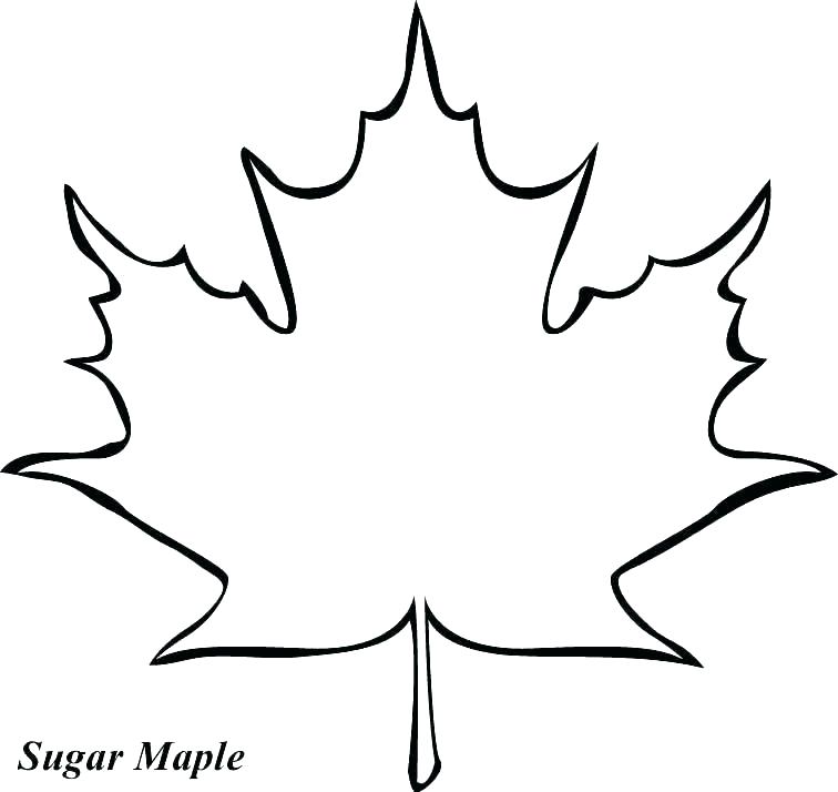 Bare Tree Coloring Page