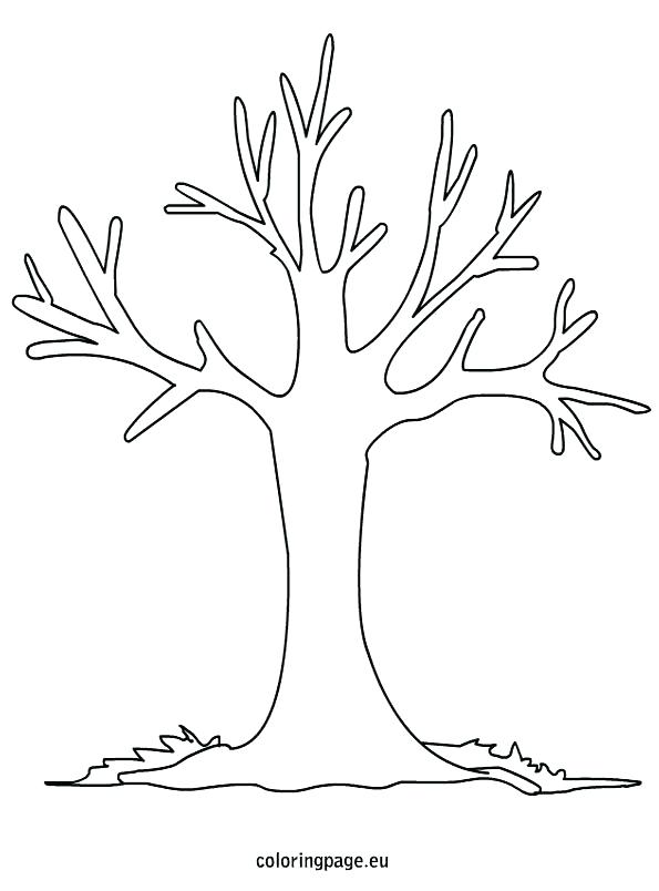 595x804 Bare Tree Coloring Page Together With Coloring Bare Tree Outline