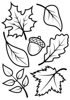 236x334 Bare Tree Without Leaves Coloring Pages