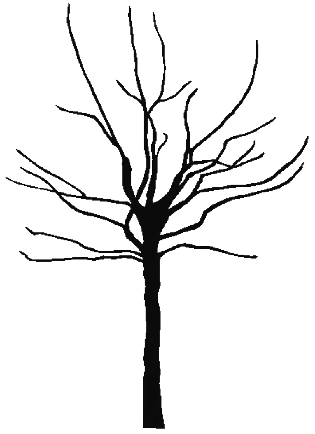 1080x1488 Bare Tree Coloring Page Clipart Panda