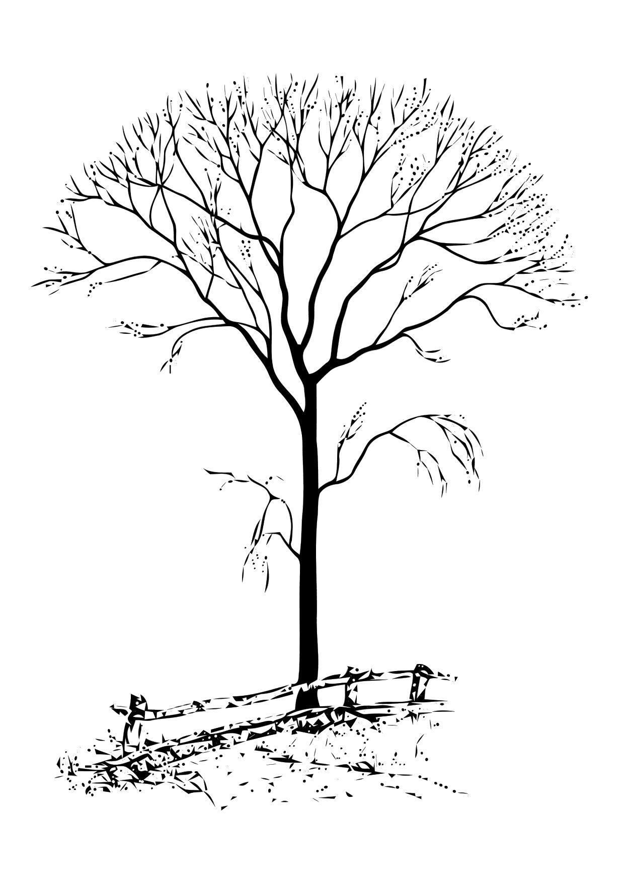1240x1750 Coloring Page Bare Tree