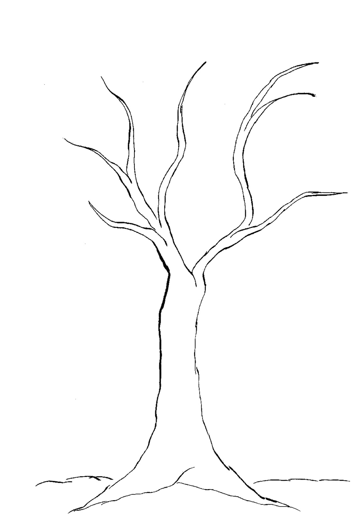 1118x1636 Fall Tree Coloring Pages