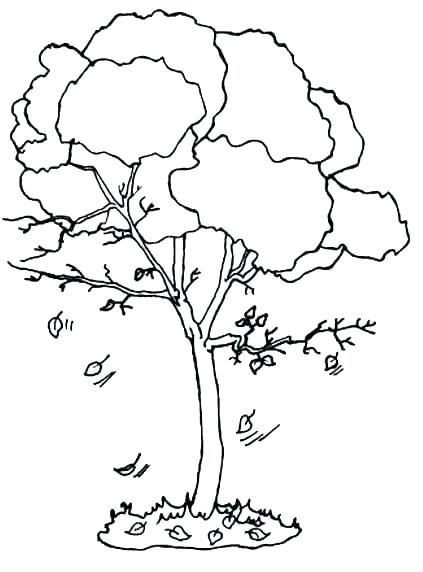 423x572 Tree Trunk Coloring Page Bare Tree Coloring Page Tree Printable