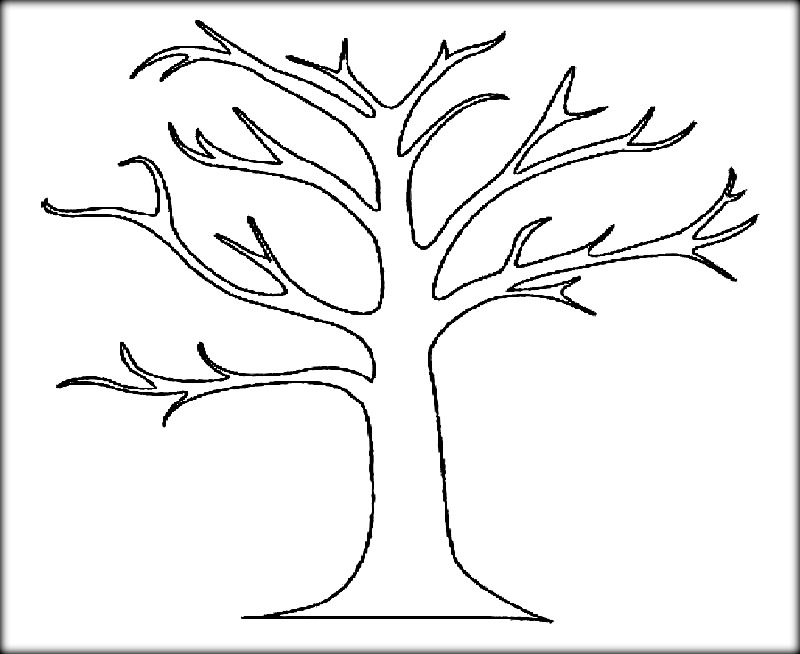 800x654 Tree Printables Bare Tree Coloring Pages Color Bros Download