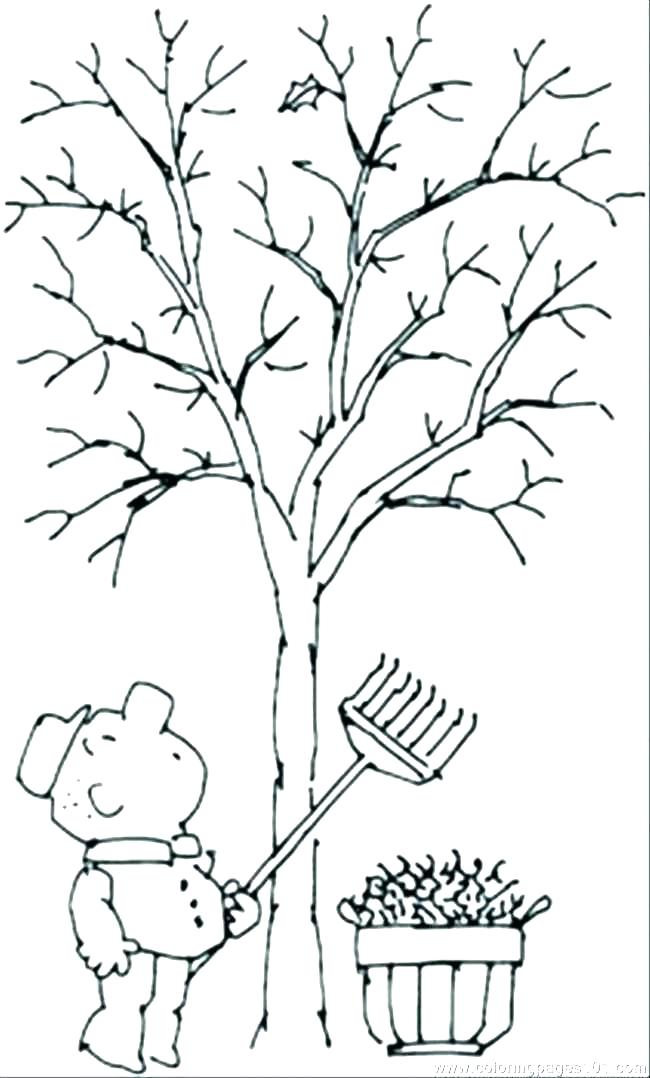 650x1078 Bare Tree Coloring Page In Addition To Tree Color Sheet