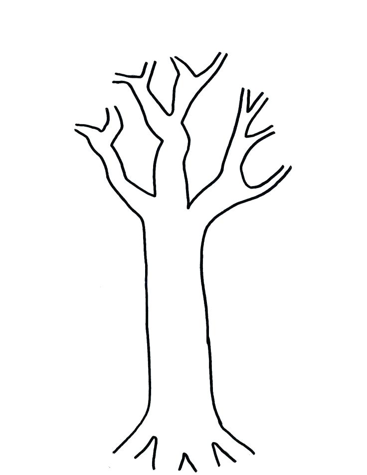 736x952 Bare Tree Coloring Page Pages Simple Bare Tree Outline Bare Tree