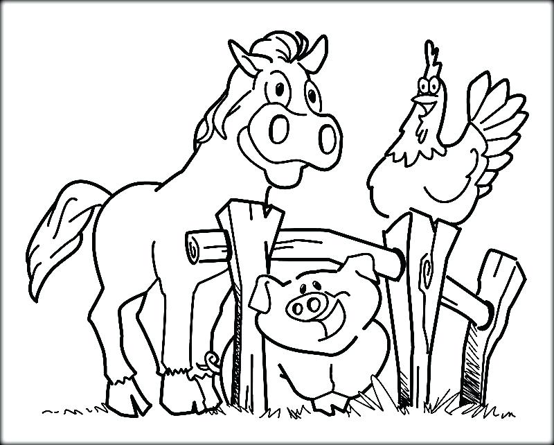 Barn Animals Coloring Pages