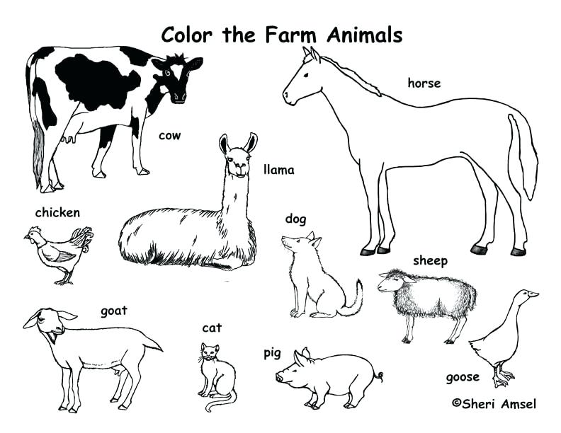 792x612 Barn Coloring Page Barn Coloring Pages Barn Coloring Pages