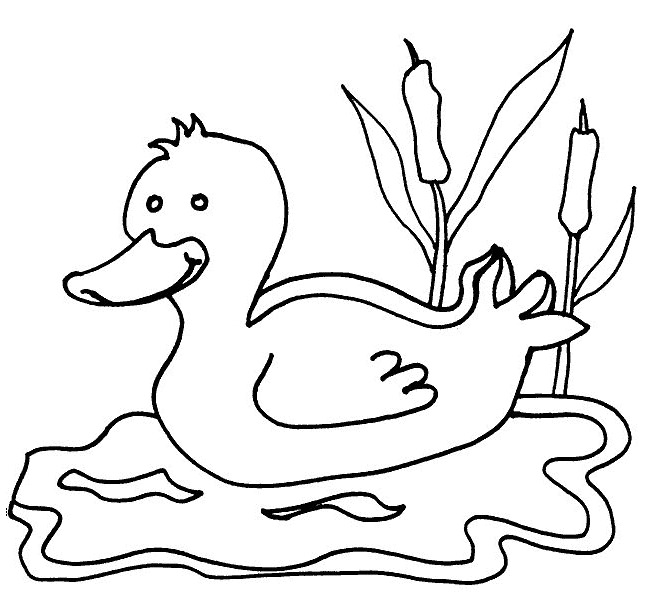 650x613 Farm Animal Template