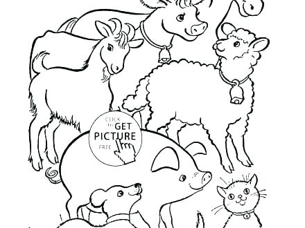 440x330 Free Barn Animals Coloring Pages Cute Farm Animal Of