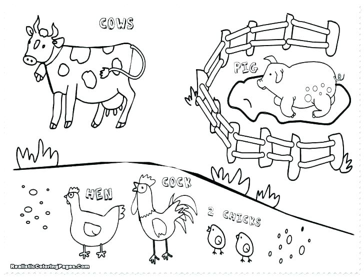728x553 Free Coloring Pages Of Animals Free Coloring Pages Animals Animal