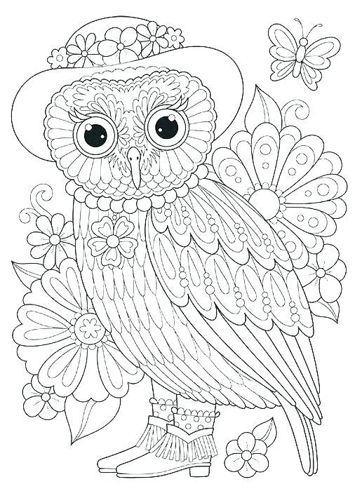 516x700 Printable Barn Owl Coloring Pages Colouring Pictures Of Barn Owls