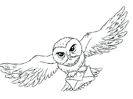 440x330 Barn Owl Coloring Page Barn Owl Coloring Page Kids Coloring New