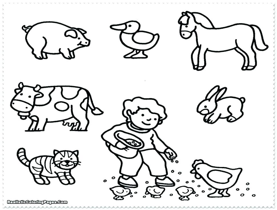 970x737 Barnyard Coloring Pages Barn Animals Coloring Pages Baby Farm