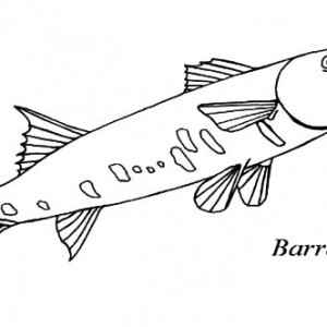 300x300 Find The Best Coloring Pages Resources Here!