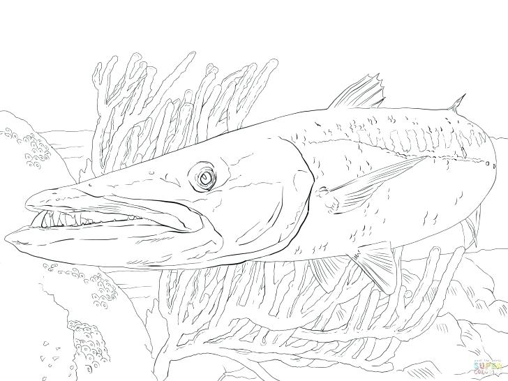 728x546 Fishing Boat Coloring Pages Fishing Color Pages Coloring Book